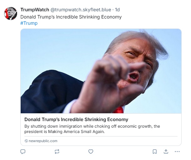 Trump's shrinking economy